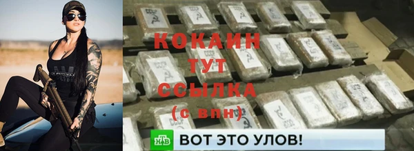 PSILOCYBIN Зеленокумск