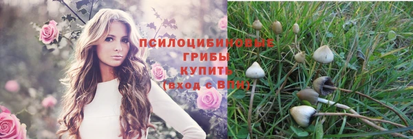 PSILOCYBIN Зеленокумск