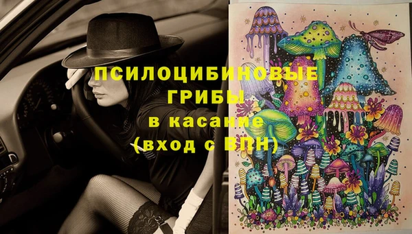 PSILOCYBIN Зеленокумск
